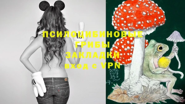 СК Алзамай