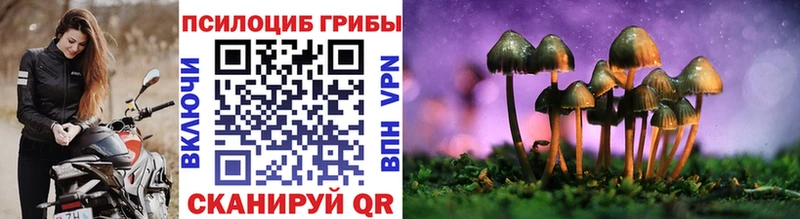 Псилоцибиновые грибы ЛСД  как найти   Армянск 